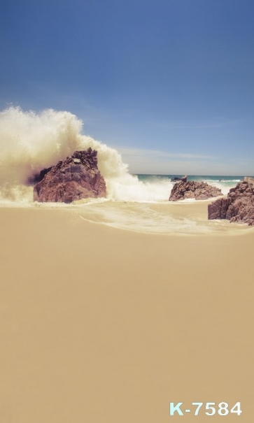 Huge Waves Beating Rocks Seaside Beach Photo Prop Background