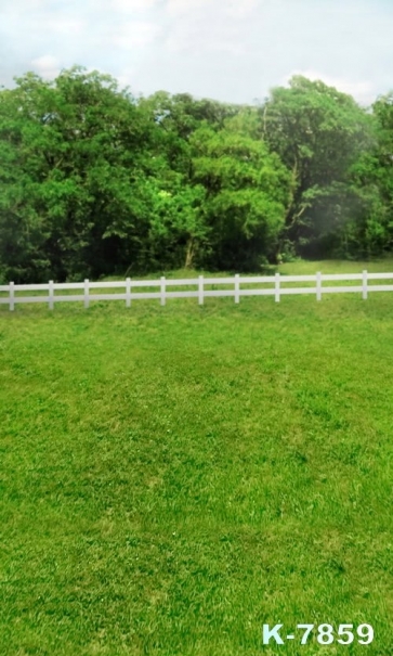 Green Grass Land Grove Fence Scenic Photography Backgrounds and Props