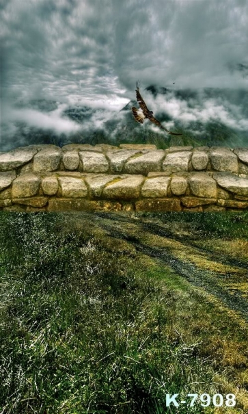 Eagle Flying over Mountains Scenic Photo Prop Background