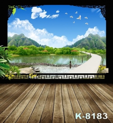 Scenic Landscape View from the Inside Out Wood Floor Vinyl Photography Backdrops