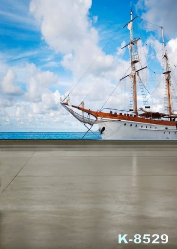 White Ferry Steamer Berthing Harbor Photography Background Props