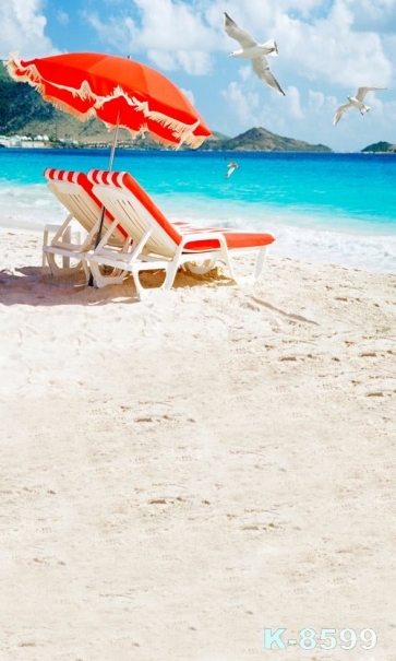 Leisure Chairs Seagulls by Seaside Beach Photo Backdrop