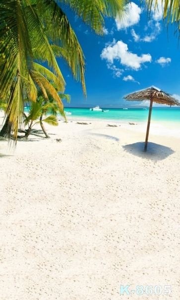 Summer Vacation Seaside Coconut Tree Beach Picture Backdrop 