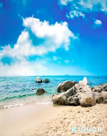 Blue Sky Sea Rocks by Seaside Beach Camera Backdrops