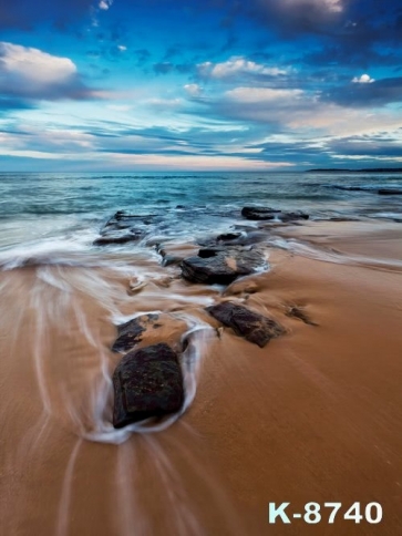 Scenic Sea Sand Beach Backdrop Background for Photography