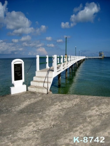 White Stone Bridge Harbor Scenic Photography Backgrounds and Props