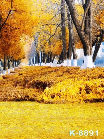 Autumn Fall Yellow Leaf Trees Scenic Photo Wall Backdrop