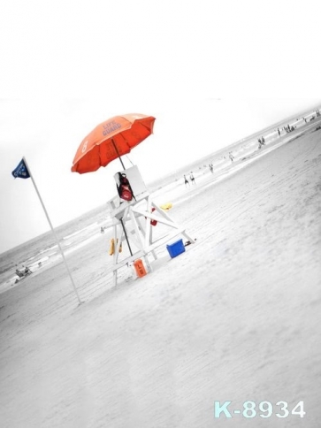 Scenic Seaside Beach Oblique Background Drops for Photography