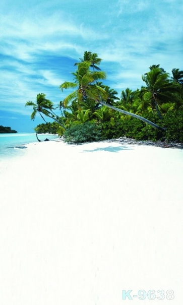 Island Green Trees Seaside Beach Backdrop Background for Photography