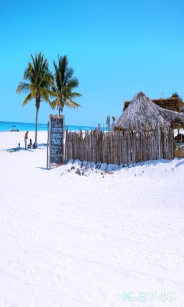 Thatched Cottage Coconut Trees Seaside Beach Drop Studios Backdrops