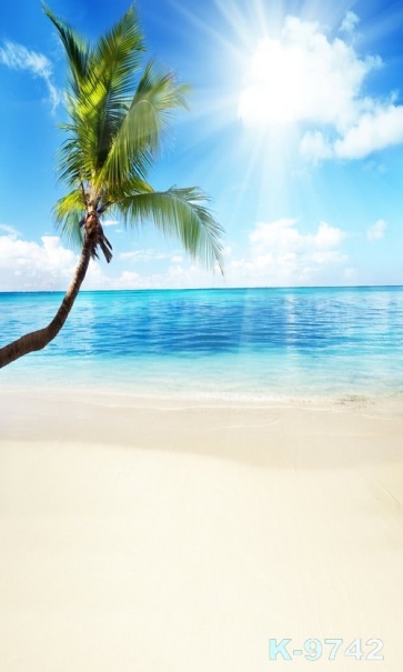 Sunny Day Blue Sky Coconut Tree Scenic Beach Studio Backdrops