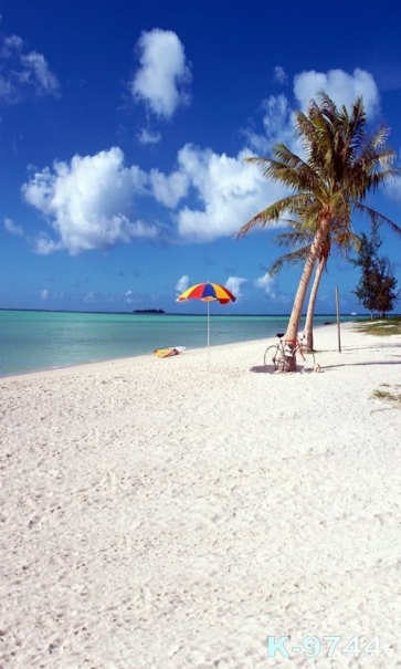 Summer Holiday Blue Sea Seaside Beach Photography Backgrounds and Props