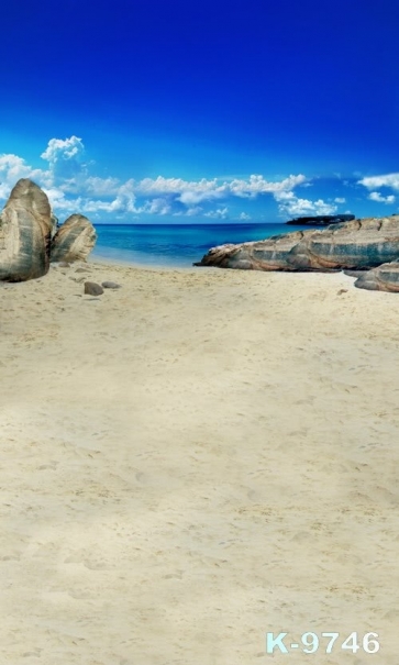 Seaside Beach Rocks Scenic Professional Photography Backdrops