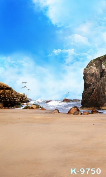 Seagulls over Seaside Rocks Beach Photo Backdrops