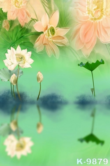 Beautiful Lotus Flowers Scenic Photography Studio Background