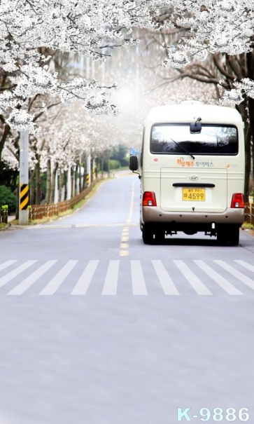 Plum Blossom on Both Sides of the Road Bus Scenic Backdrops Vinyl Photography Backdrops