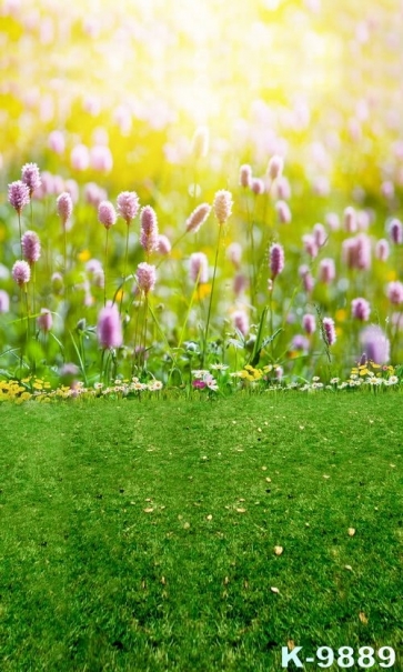 Spring Green Grasslans Flowers in Field Scenic Photo Backdrop