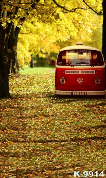 Autumn Fallen Leaves Trees Car in Mid Street Scenic Photo Backdrop