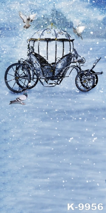 Winter White Snow FatTonny Pumpkin Carriage Christmas Best Backdrop for Photography