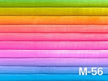 Rainbow Color Vinyl Wood Floor Backdrops Newborn Baby Photography Background