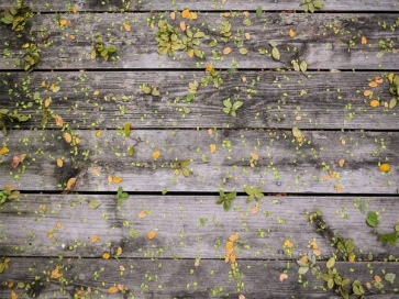 Rustic Wood Leaves Backdrop Wall Wedding Flowers Photography Background