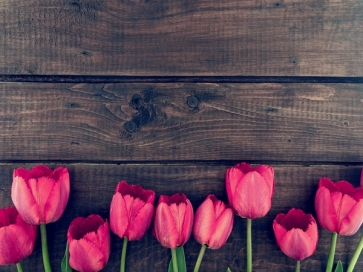 Tulips Flowers Wood Backdrop Wedding Bridal Shower Photography Background
