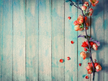 Light Blue Wood Backdrop With Flowers Baby Shower Photography Background