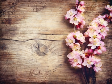 Rustic Wood Backdrop With Flowers Photography Background