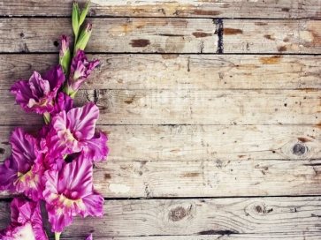 Purple Flowers Rustic Wood Backdrop Photography Background