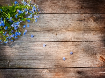 Rustic Wood Backdrop With Blue Flowers Photography Background