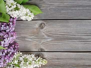 Photography Background Rustic Wood Plank Backdrop With Flowers 