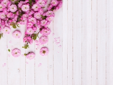 Rustic White Wood Plank Backdrop With Flowers Photography Background