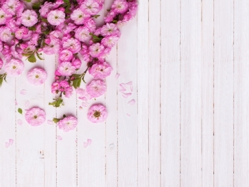 Rustic White Wood Plank Backdrop With Flowers Photography Background