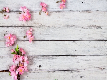 Vintage White Wood Plank Backdrop With Flowers Photography Background