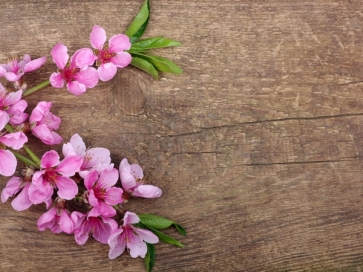 Rustic Wood Board With Flowers Backdrop Photography Background