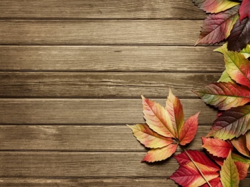  Vintage Photography Background Faux Wood Backdrop With Maple Leaf