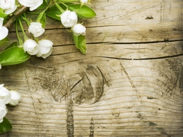 Faux Wood Backdrop With White Flowers Backdrop Baby Shower Photography Background