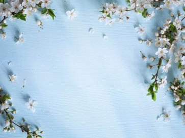 Vintage Blue Wood Plank Backdrop With Flowers Photography Background