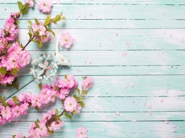 Rustic DIY Light Blue Wood With Flowers Wedding Backdrop Photography Background