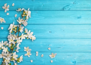 Baby Shower Photography Background Blue Wood Flowers Backdrop