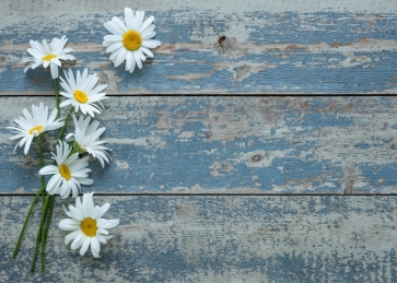 Retro Old Blue Wood Board With Flowers Backdrop Photography Background
