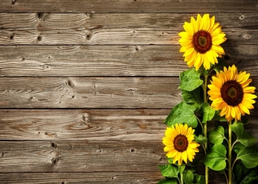 Retro Wood With Sunflower Flowers Baby Shower Backdrop Photography Background