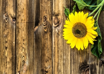 Vertical Texture Wood Picture Backdrop with Yellow Sunflower