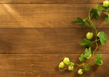 Green Cane Vine Flower Buds Wood Backdrop Background for Photography