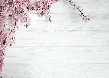 White Horizontal Texture Wood Photo Background Drops with Plum Blossom Flowers