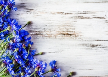 Simple Blue Flowers on Left Wood Wall Background Backdrop