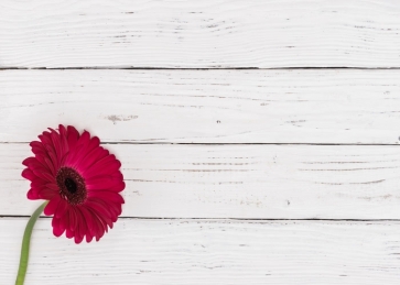 White Horizontal Texture Wood Camera Backdrops with Rose Red Flower