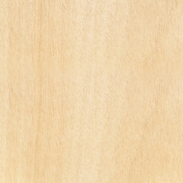 Beige Vinyl Vintage Wood Textured Backdrop Studio Photography Background Prop