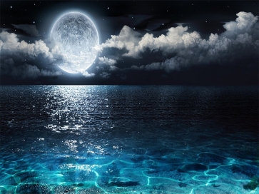 Night View On Sea Full Moon Backdrop Party Stage Studio Photography Background