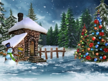 Snowman Christmas Trees Outdoor Scenic Photography Backgrounds and Props